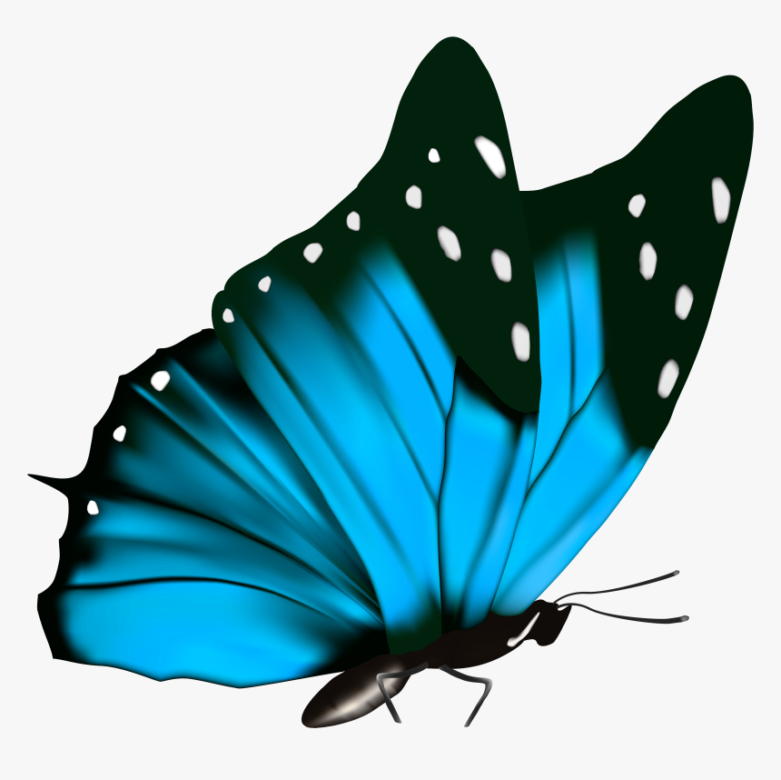 Transparent Blue Butterfly Clipart - Blue Butterfly Transparent Background, HD Png Download, Free Download