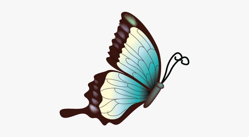 Flying Blue Butterfly Png Image - Sideways Butterfly, Transparent Png, Free Download