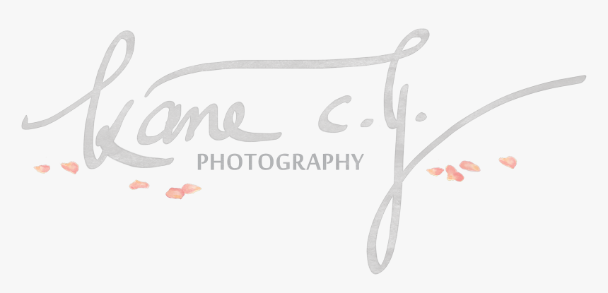 Cy Photography Kane - New Year Greetings, HD Png Download, Free Download