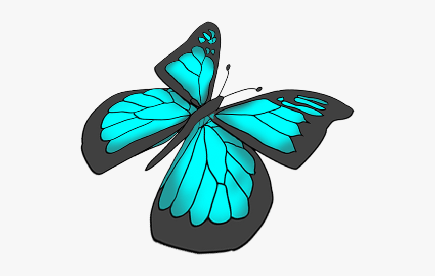 Free Butterflies Drawing - Brush-footed Butterfly, HD Png Download, Free Download