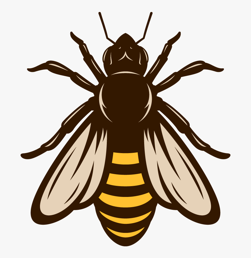 Schedule An Appointment Today If You Need Honey Bees - Honeybee, HD Png Download, Free Download