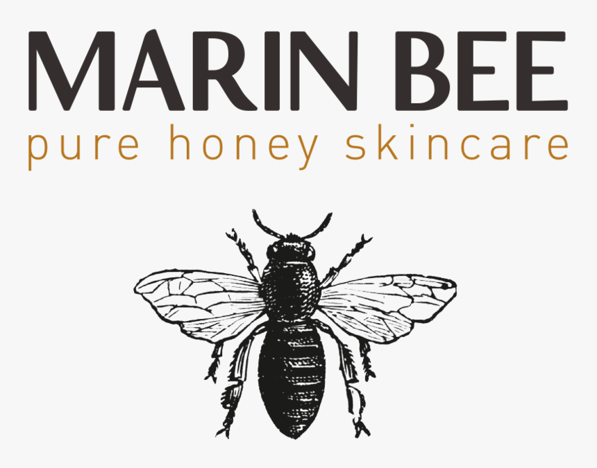 Marin Bee Skincare Logo - Tft Matrix In Oled, HD Png Download, Free Download