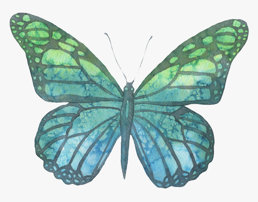 Transparent Moth Blue Green - Blue Green Watercolor Png, Png Download, Free Download