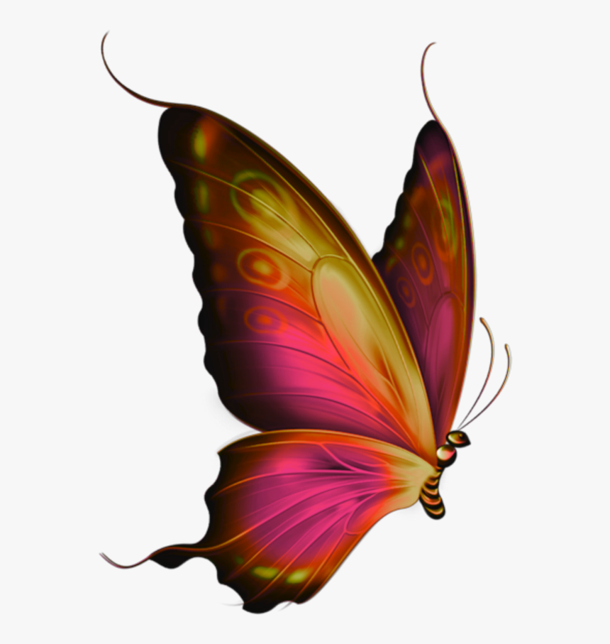 #mq #red #butterfly #butterflys #flying - Real Flying Butterfly Png, Transparent Png, Free Download
