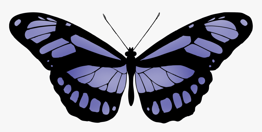 Butterfly 15 Clip Arts - Black Transparent Butterfly Meaning, HD Png Download, Free Download