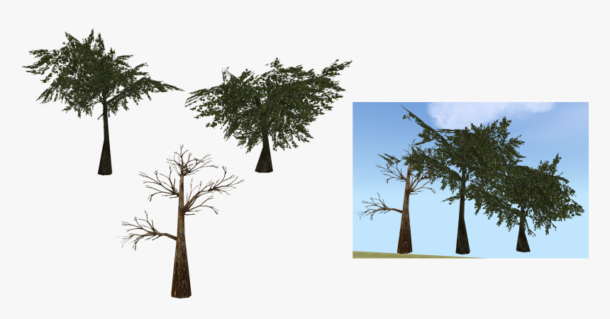 Moss Transparent Tree Png , Png Download - Pond Pine, Png Download, Free Download