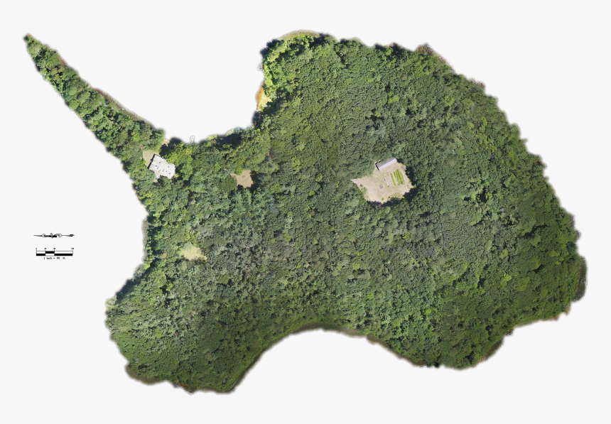 Moss , Png Download - Moss, Transparent Png, Free Download