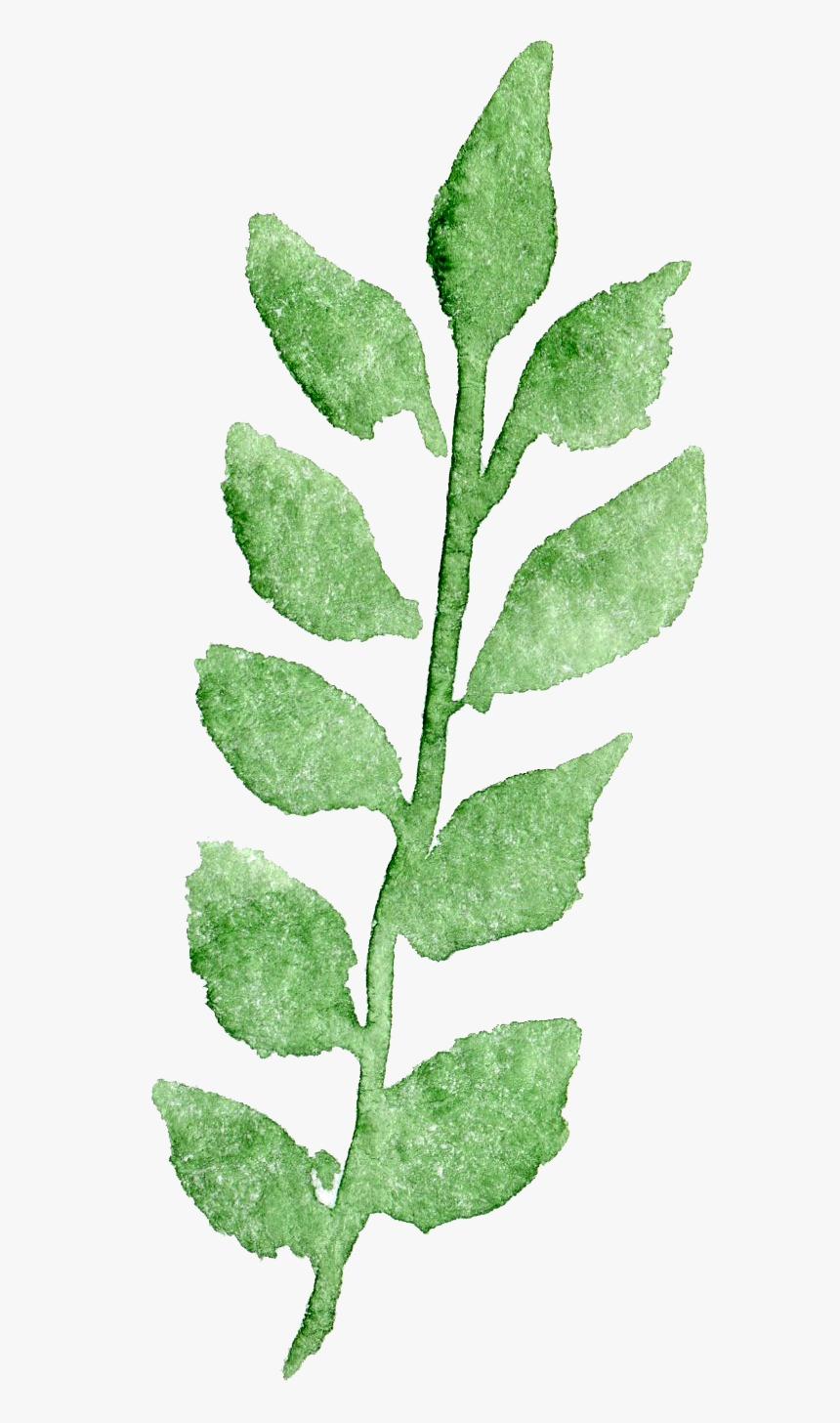 Transparent Watercolor Watercolor Painting Transparency - Leaf Painting Transparent Background, HD Png Download, Free Download