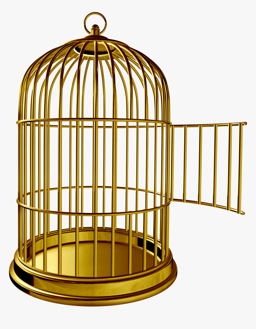 Golden Bird Cage Png Image - Bird Cage With Door Open, Transparent Png, Free Download