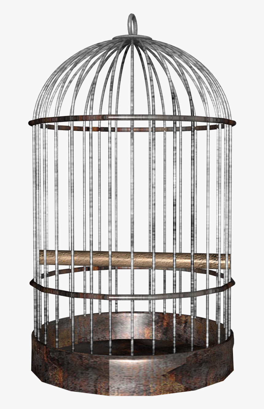 Cage Background Png - Transparent Bird Cage Png, Png Download, Free Download