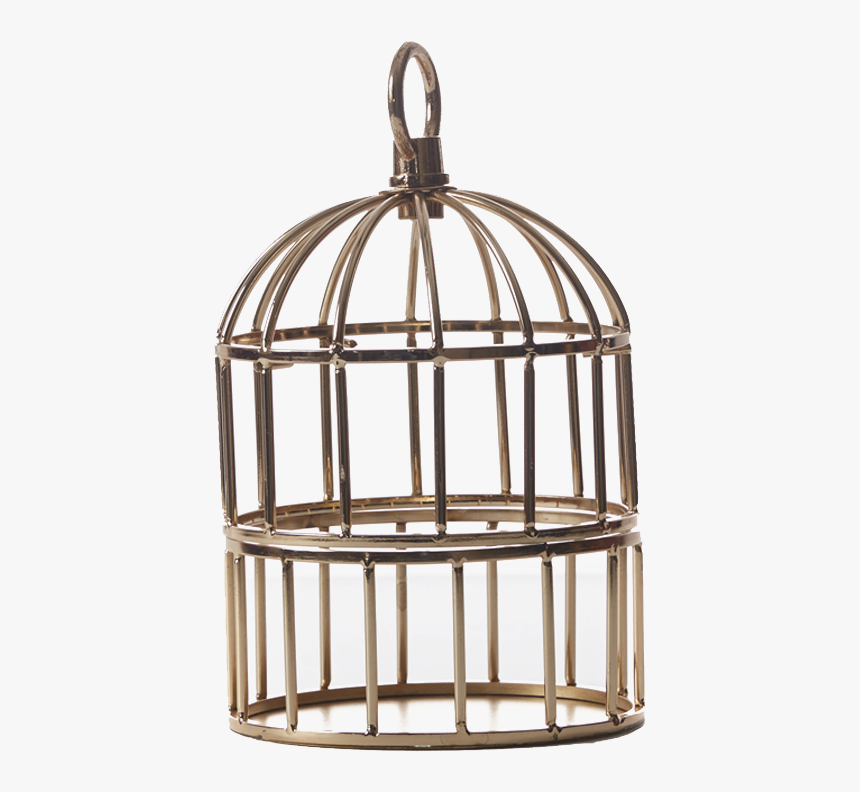 Cage Png Hd Wallpaper - Cage, Transparent Png, Free Download