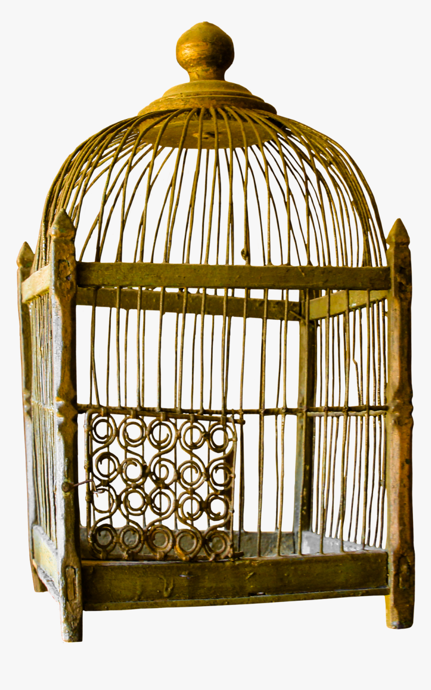 Bird Cage - Bird Cage And Cat, HD Png Download, Free Download