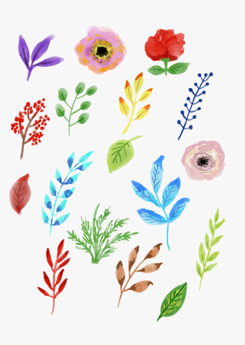 Watercolour Flower, Leaves, Watercolor, Floral, Nature - 나뭇잎 수채화, HD Png Download, Free Download