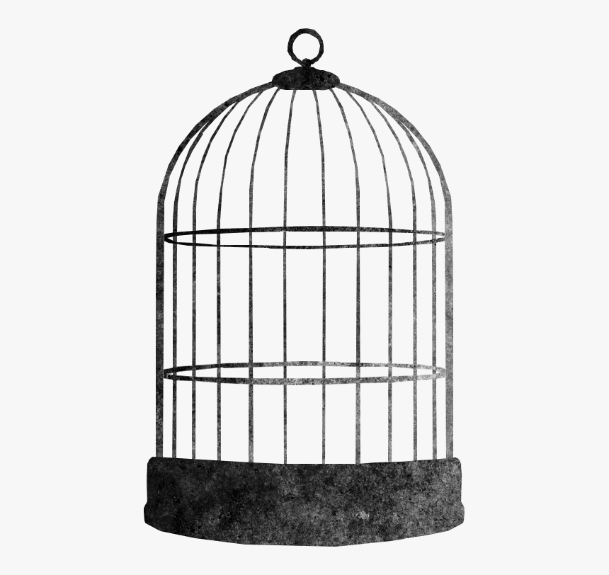 Bird Cage - Cage - Bird In Cage Png, Transparent Png, Free Download