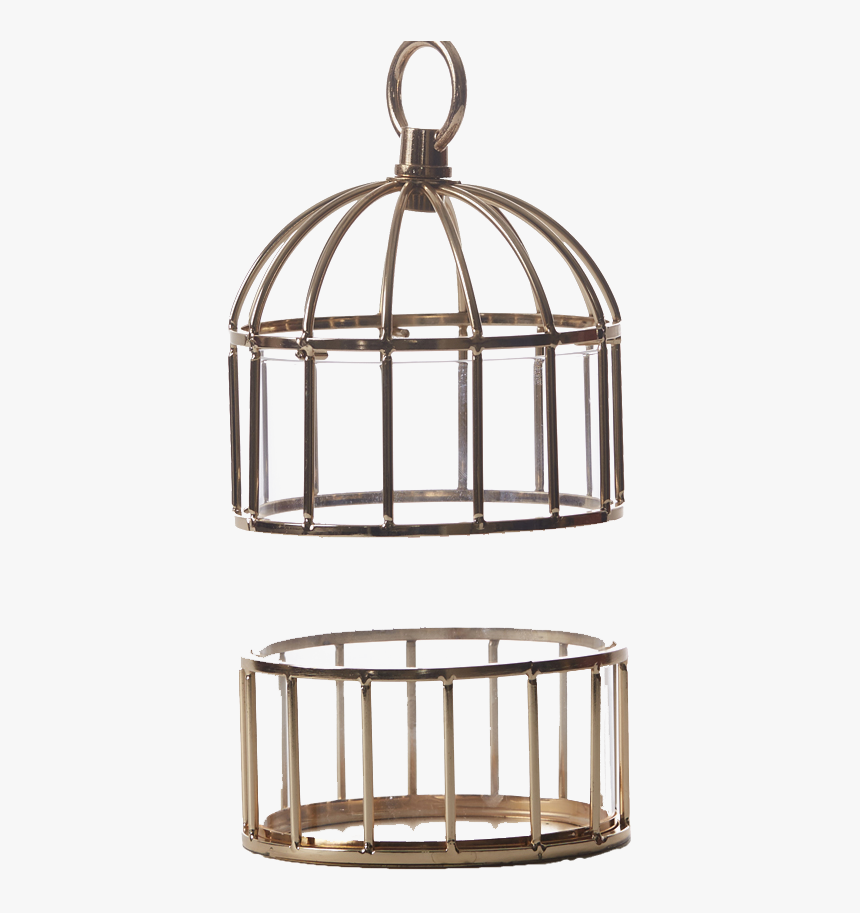 Cage Png Photo - Cage, Transparent Png, Free Download