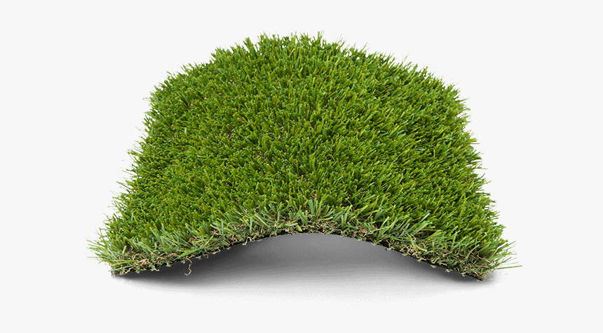 Megalawn - Hedge, HD Png Download, Free Download