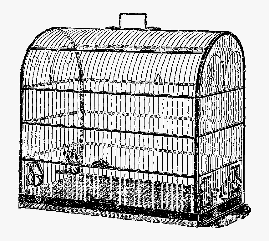Transparent Bird Cage Png - Birdcage, Png Download, Free Download