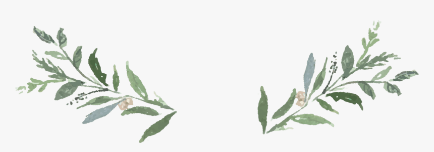 Greenery Transparent Background - Transparent Greenery Clipart, HD Png Download, Free Download