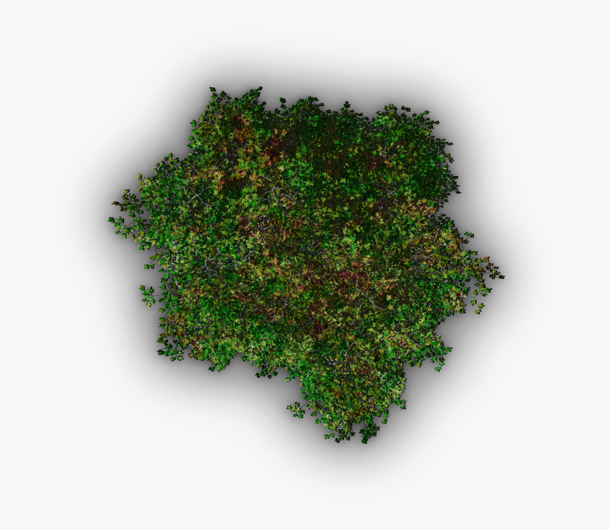 08 721k Tree Jrl8a - Red Tree Png Top View, Transparent Png, Free Download