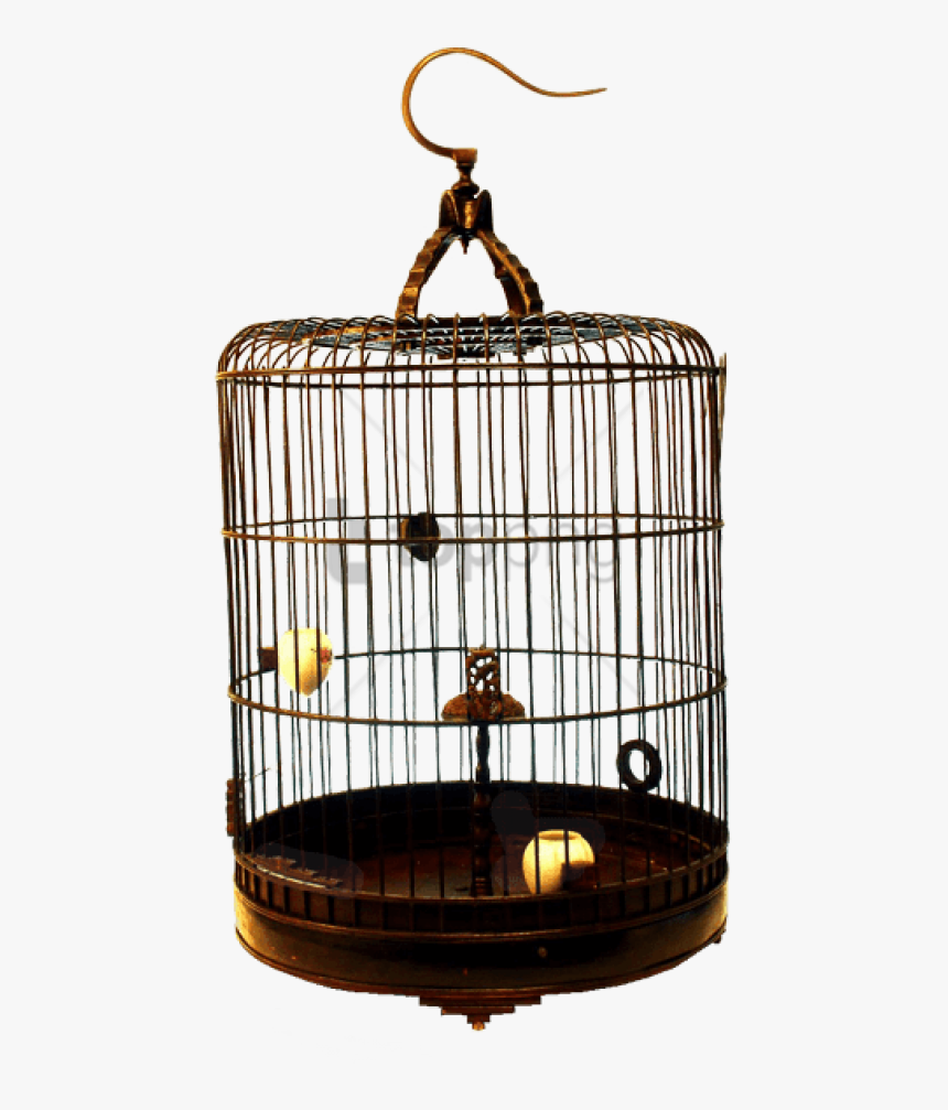 Cage,bird Supply,pet Supply,bird - Cage, HD Png Download, Free Download
