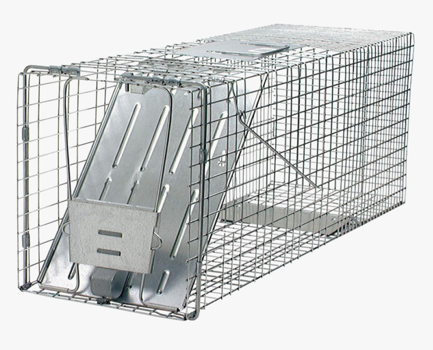 Cage Png Background Image - Build A Porcupine Trap, Transparent Png, Free Download