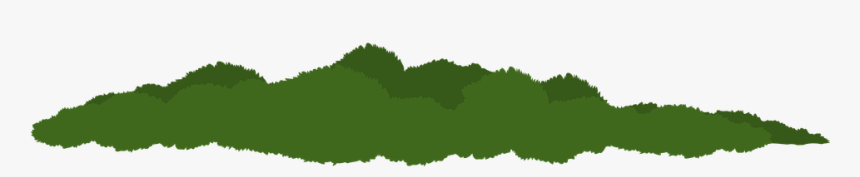 Greenery, Plants, Leaves, Leafy, Greens, Nature - Tree, HD Png Download, Free Download