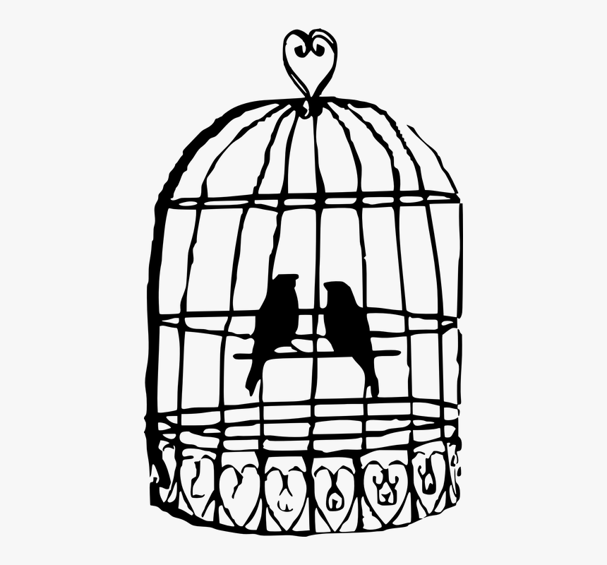Cage Bird Png - Draw A Bird Cage, Transparent Png, Free Download