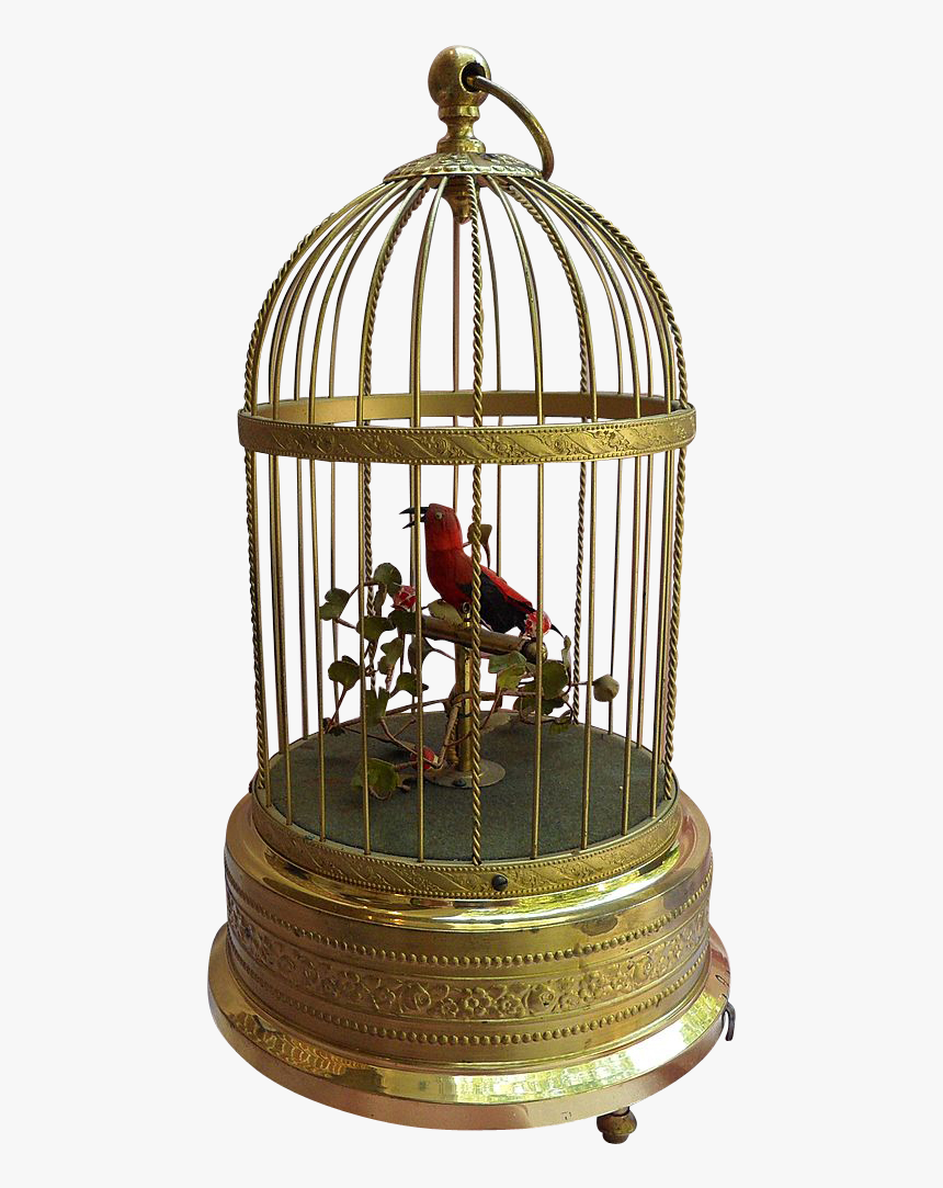 Transparent Birdcage Clipart - Birdcage, HD Png Download, Free Download