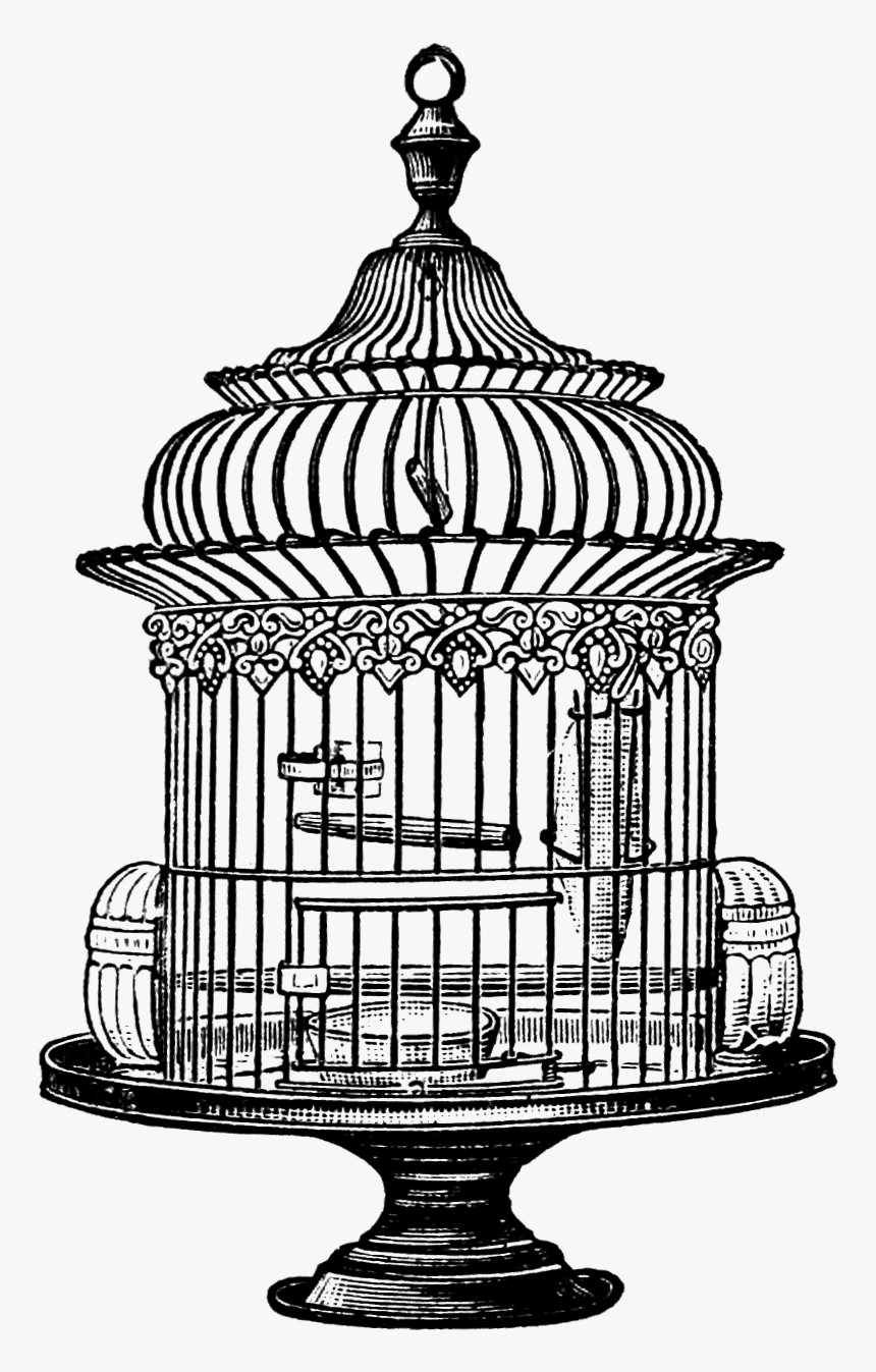 Bird Clip Art Library - Vintage Bird Cage Png, Transparent Png, Free Download