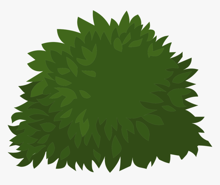 Green, Plants, Leaves, Leafy, Flora, Greenery, Foliage - Semak Semak Vektor Png, Transparent Png, Free Download