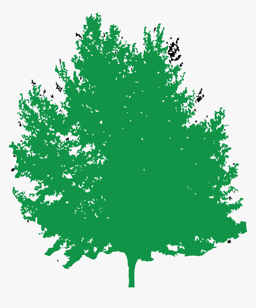 Tree, HD Png Download, Free Download