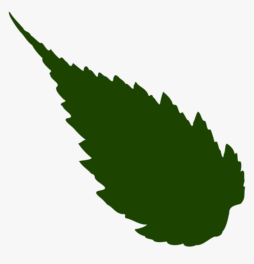 Neem Leaf Clipart, HD Png Download, Free Download