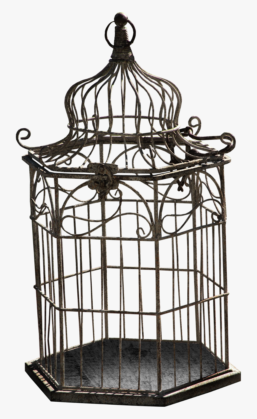 Cage D Oiseau Dessin, HD Png Download, Free Download