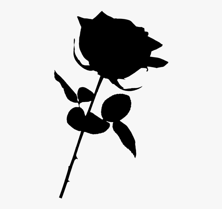 Black Rose Png - Transparent Background Rose Png, Png Download, Free Download