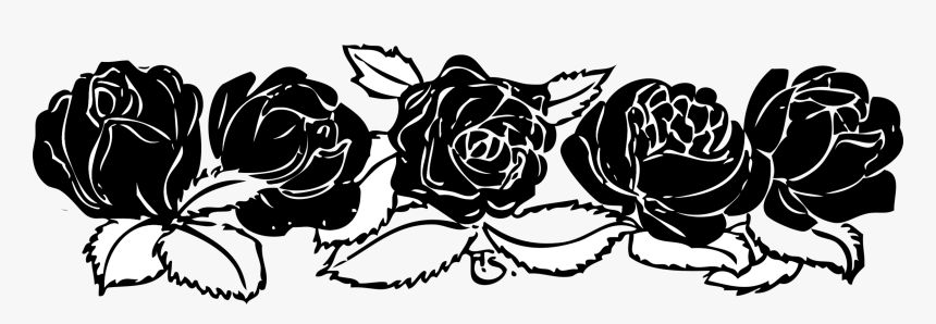 Black Rose Png - Rose Clip Art Black And White Border, Transparent Png, Free Download
