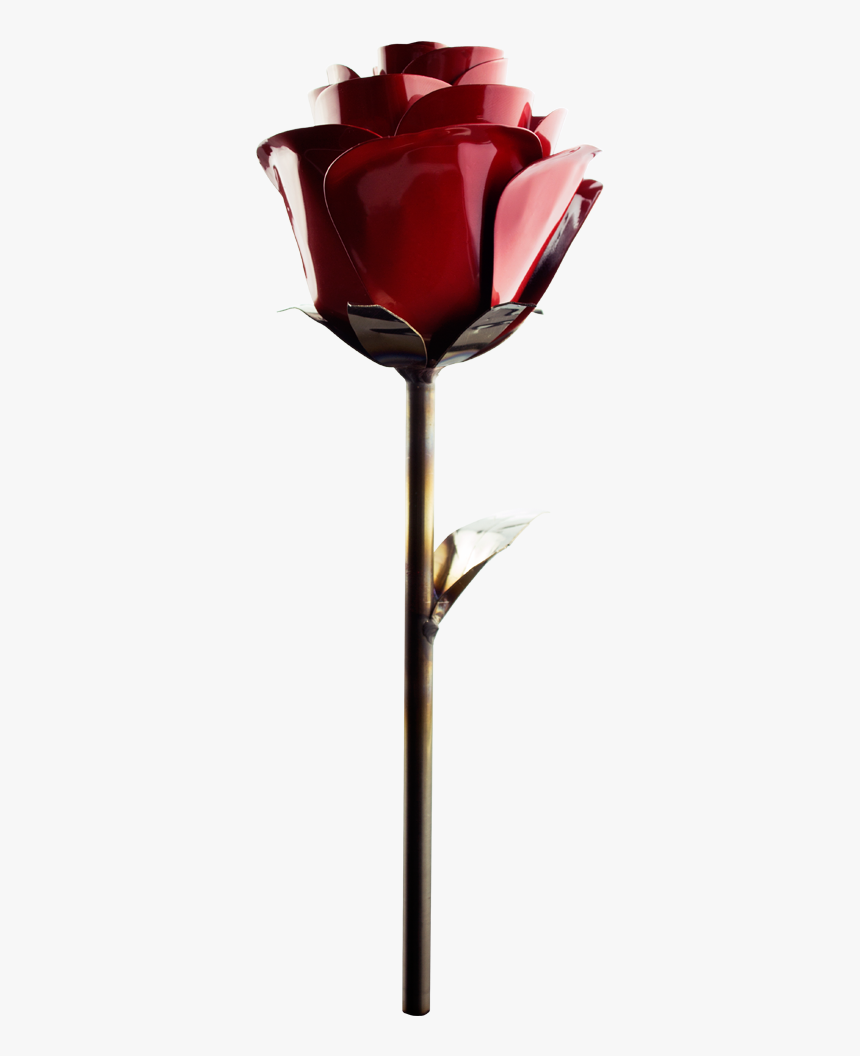 Black Roses Png - Fire Rose Png Hd, Transparent Png, Free Download