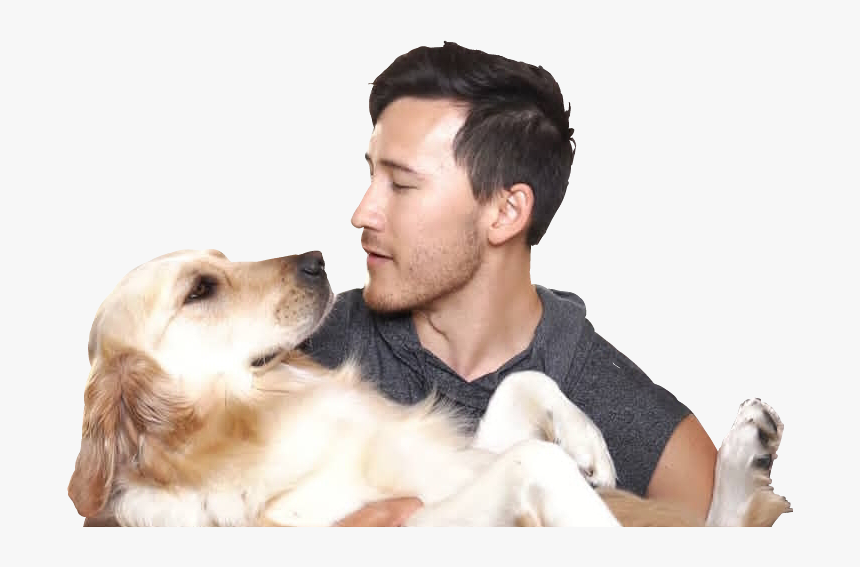 #markiplier #chica #mark #markfischbach #markimoo #chicafischbach - Golden Retriever, HD Png Download, Free Download