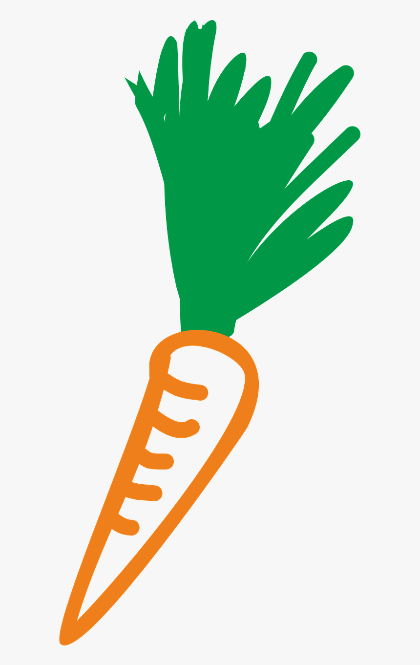 Carrot Graphics, HD Png Download, Free Download