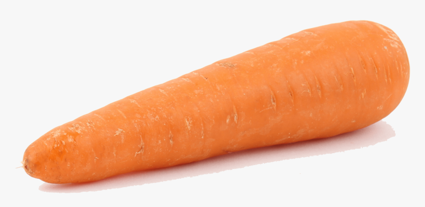 Wild-carrot - Baby Carrot, HD Png Download, Free Download