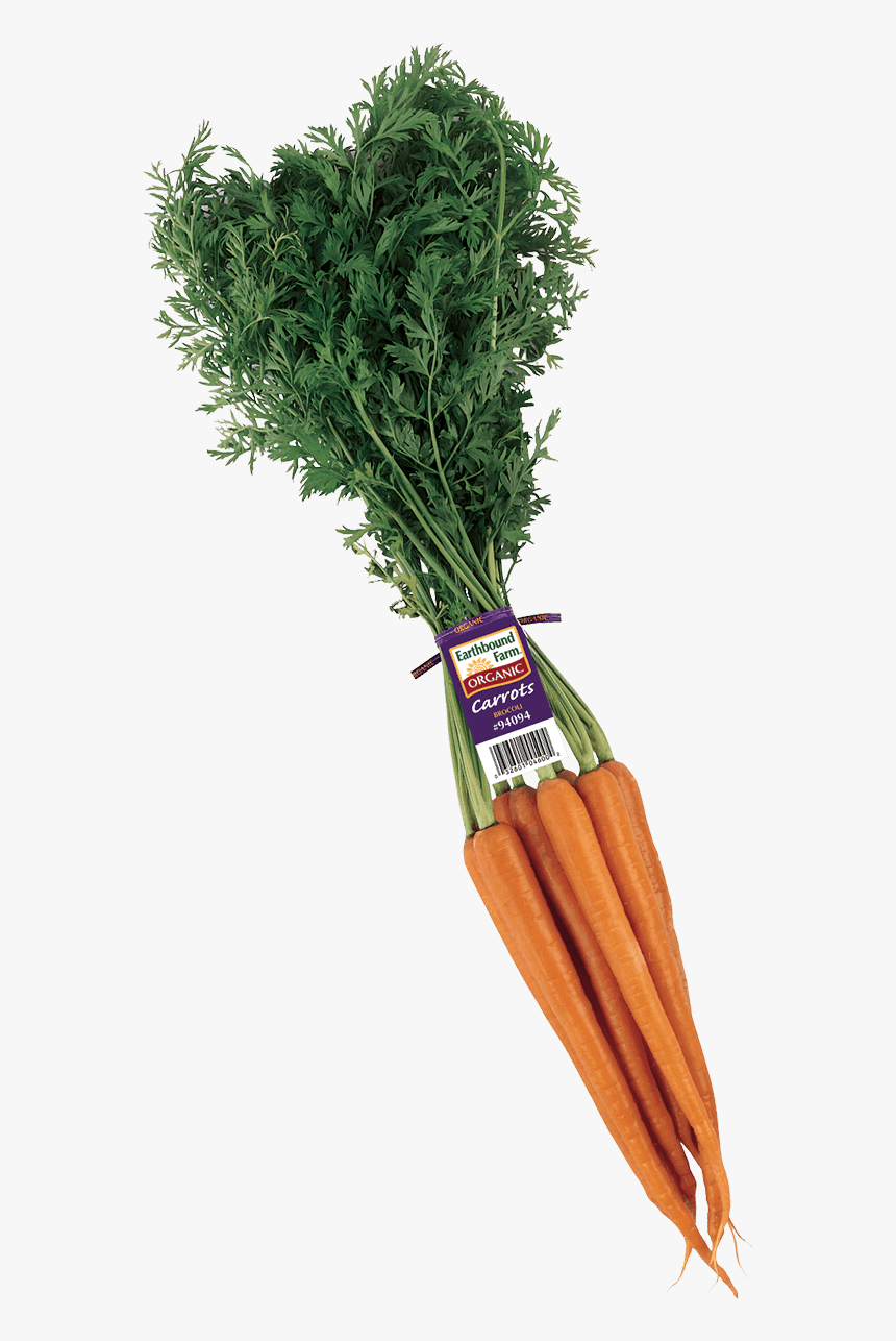 Carrot, HD Png Download, Free Download