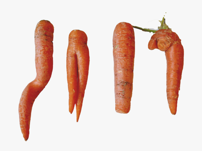 Carrot, HD Png Download, Free Download