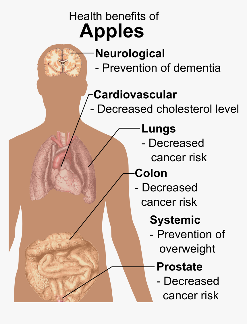 Health Benefits Of Apples - Apple Benefits For Men, HD Png Download, Free Download