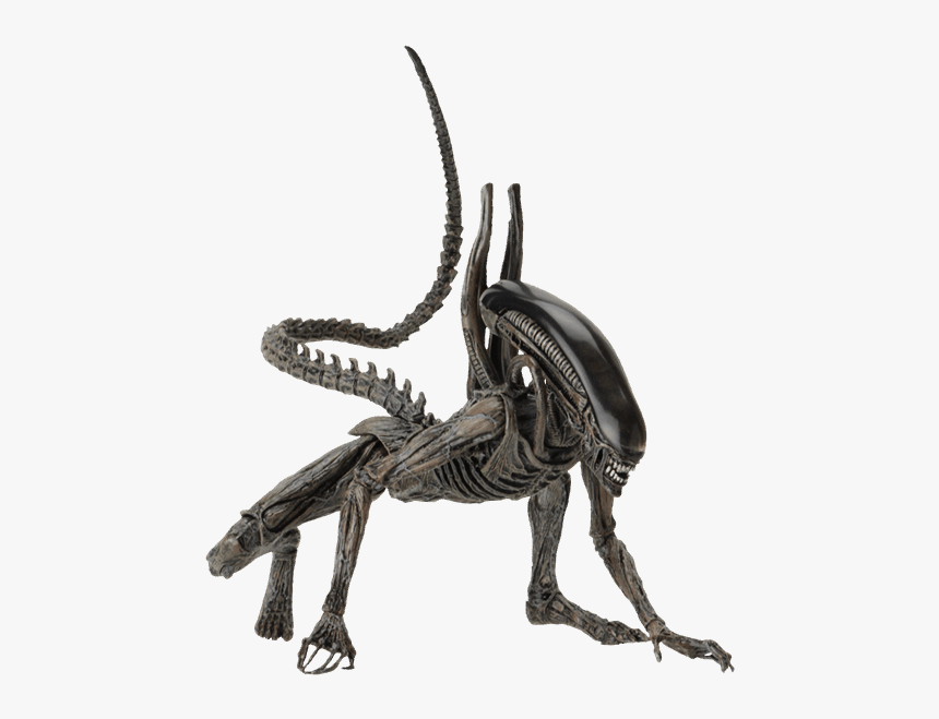 Neca Alien Covenant Xenomorph, HD Png Download, Free Download