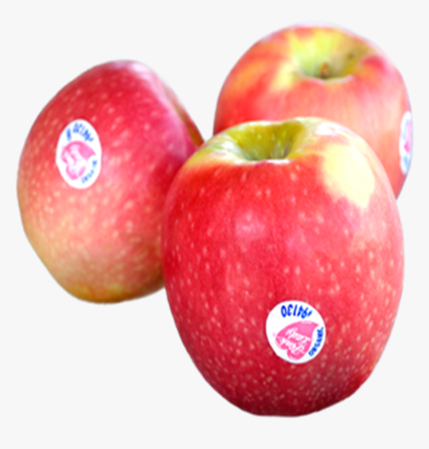 Transparent Apples Png - Pink Lady Apples, Png Download, Free Download