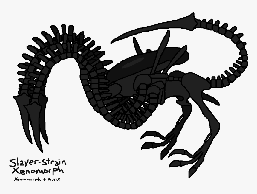 Transparent Alien Xenomorph Png - Alien Leech Xenomorph, Png Download, Free Download