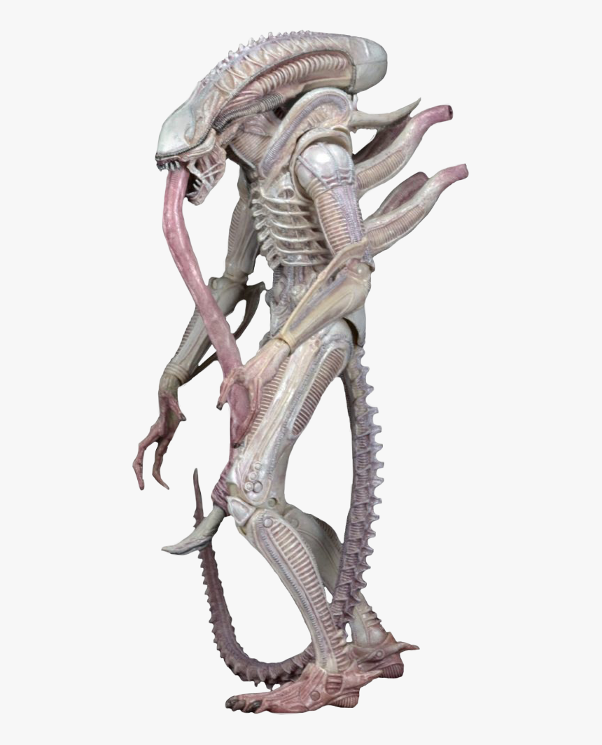 Alien Albino Neca , Png Download - Albino Xenomorph, Transparent Png, Free Download