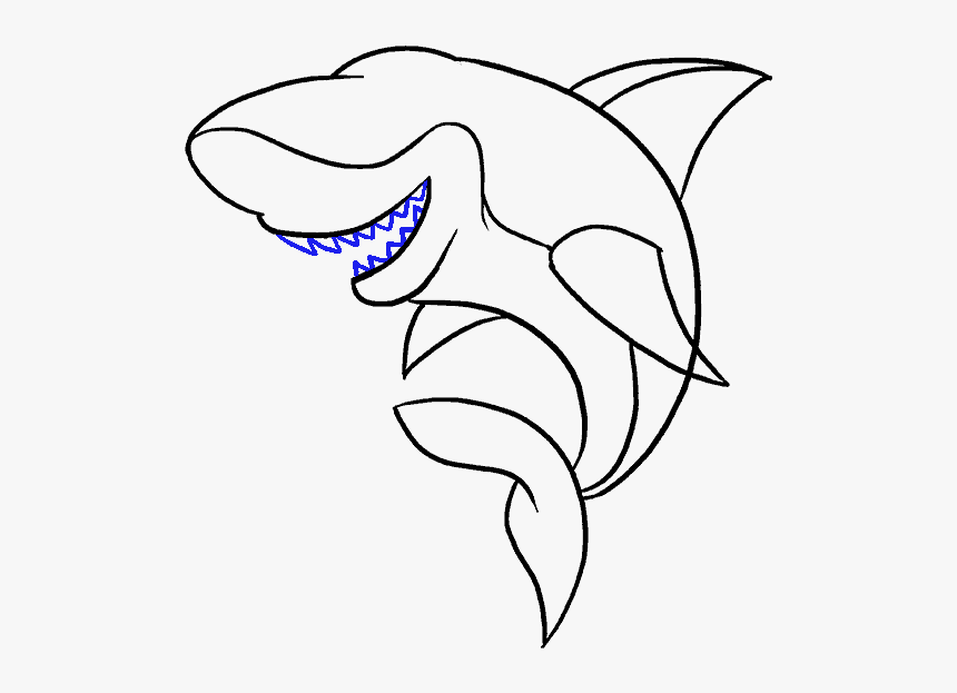 How To Draw A Cartoon Shark Easy Step By Drawing Guides, HD Png Download, Free Download