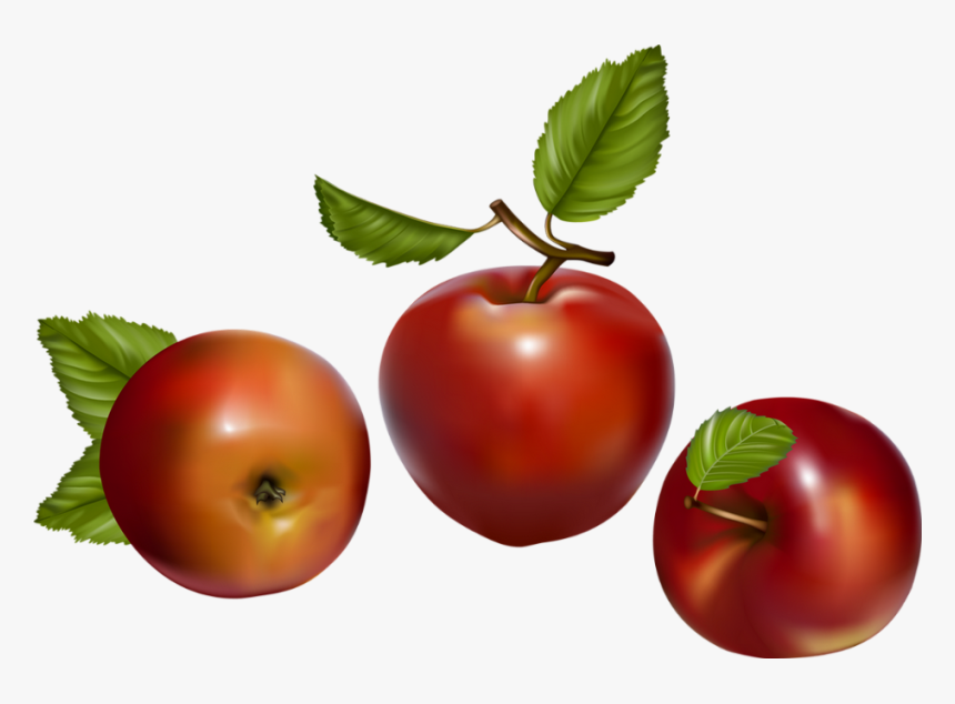 Tube Fruit - Vector, HD Png Download, Free Download