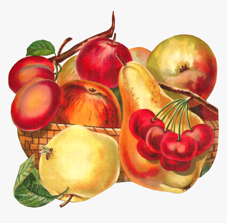 Transparent Apples Clipart - Fruit Bowl Fancy Clipart, HD Png Download, Free Download