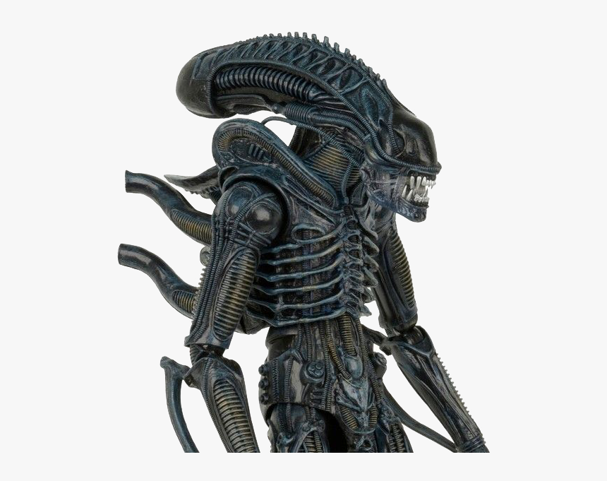 Neca Aliens Xenomorph Warrior , Png Download - Alien Xenomorph Warrior, Transparent Png, Free Download